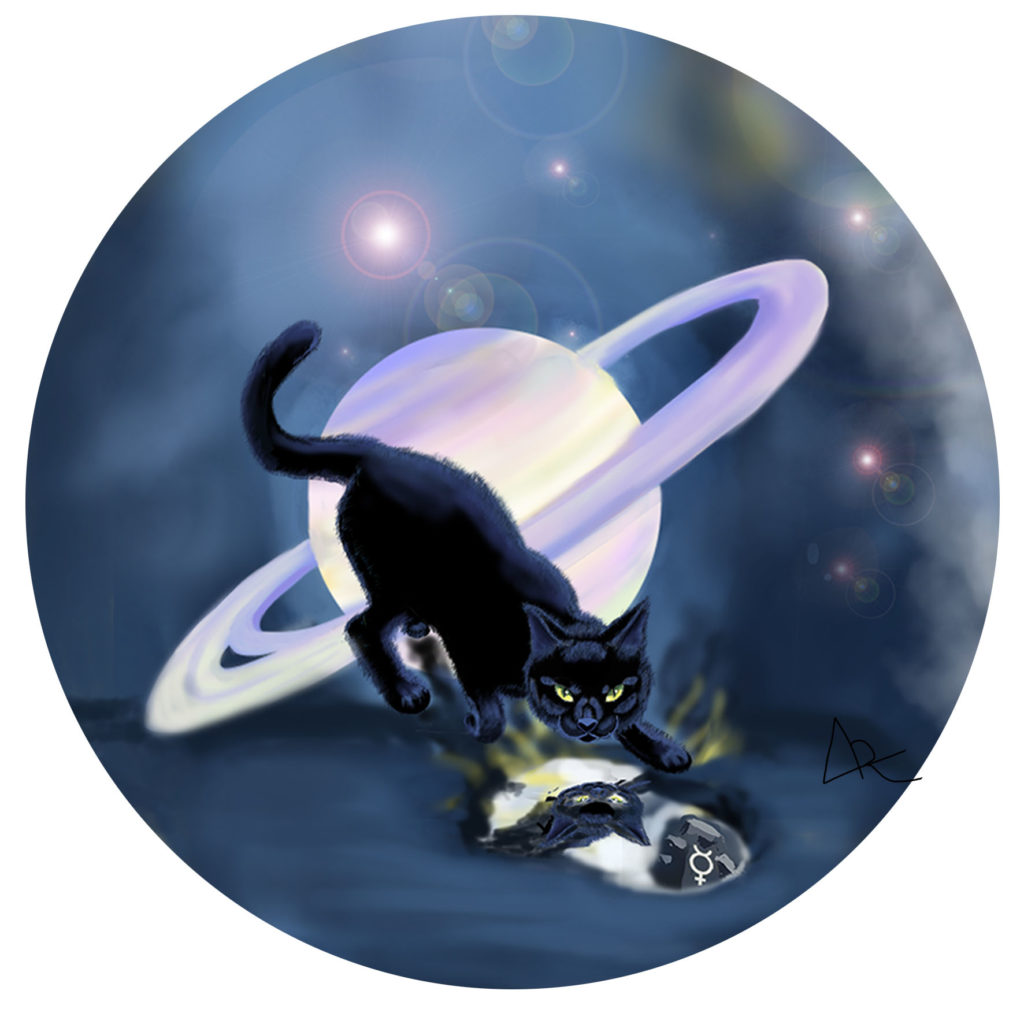 chat œuvre au noir alchimie illustrations jung