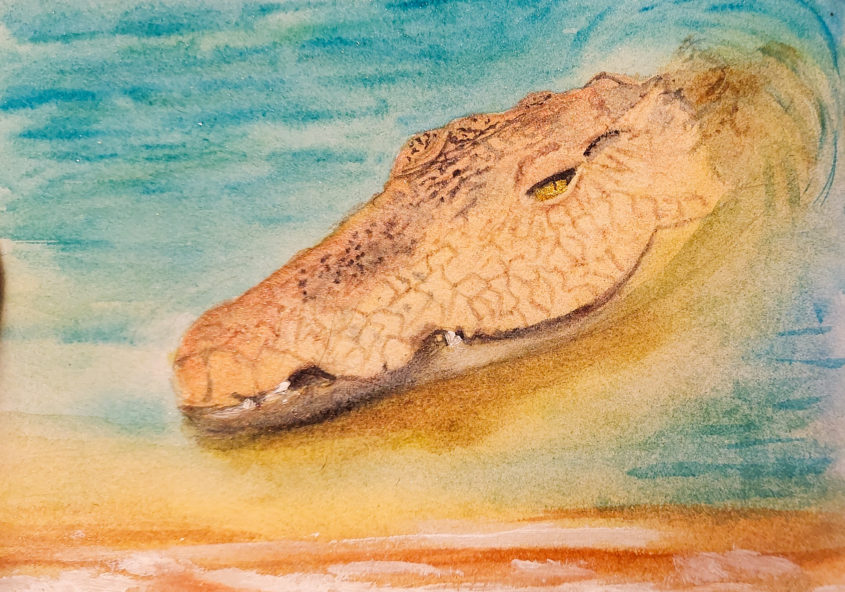 crocodile totem signification symbolique animaux illustration aquarelle